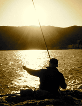 James "Bud" R. Williams Obituary